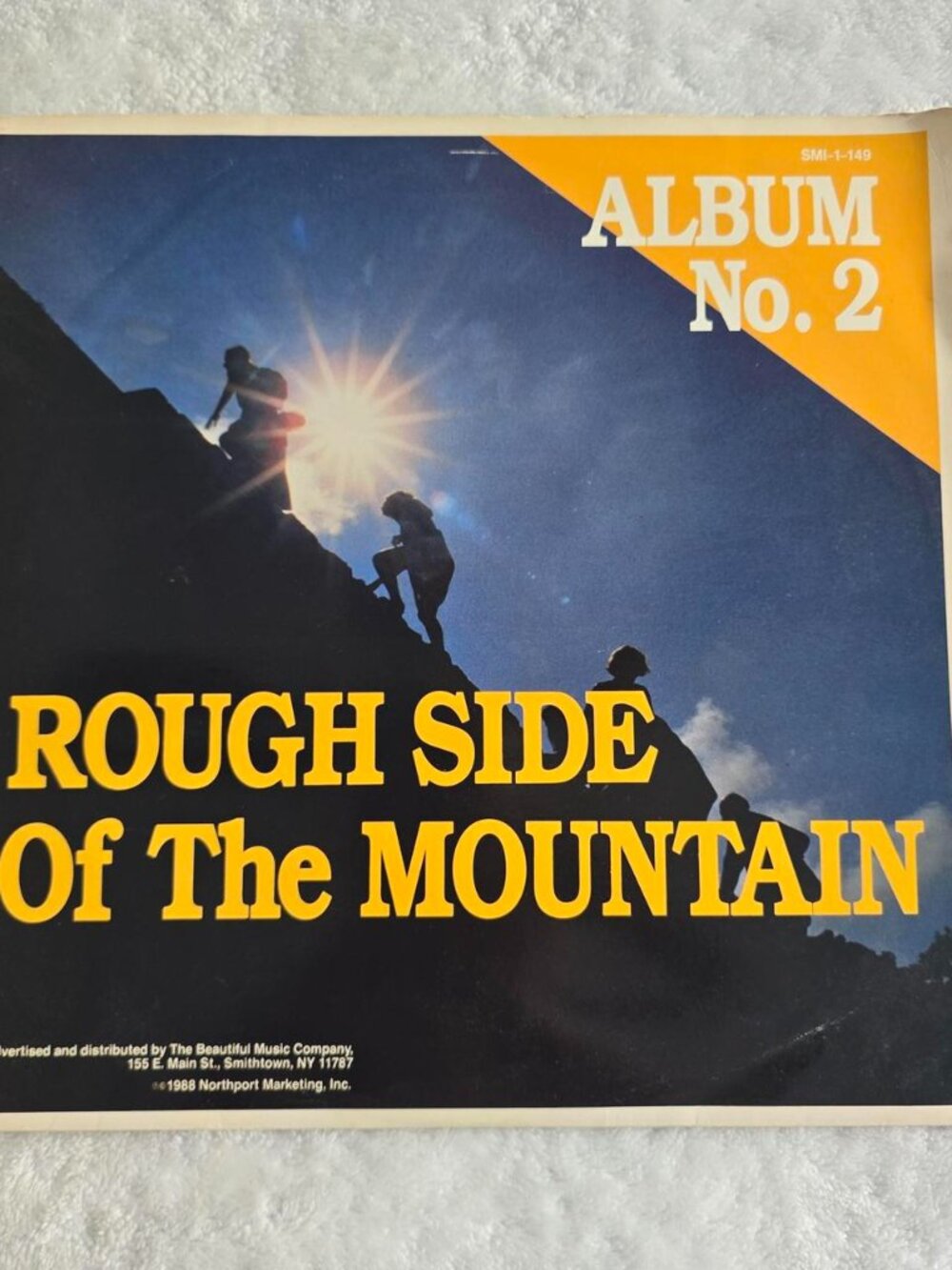 Rough Side Of The Mountain Vinyl Record